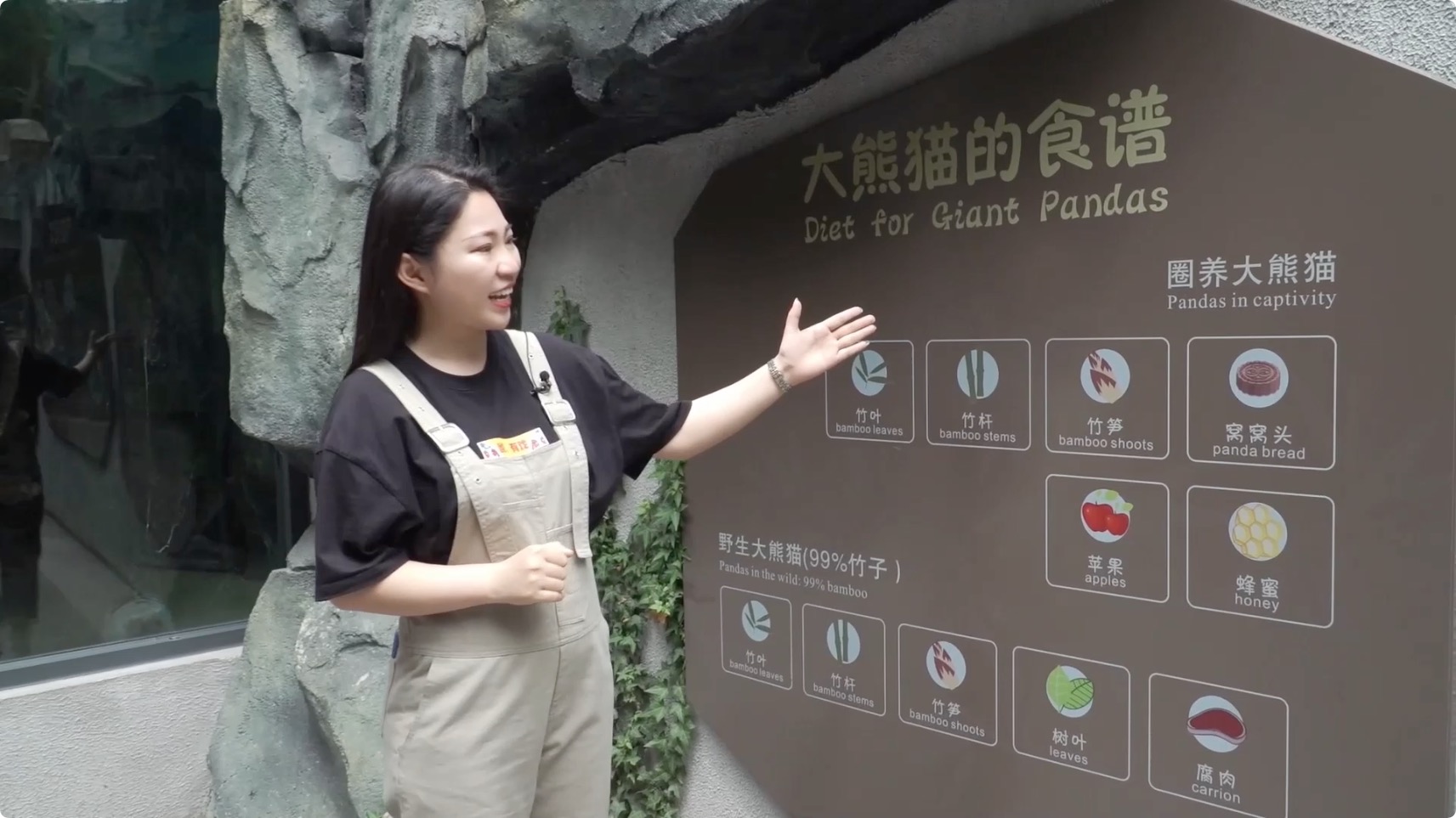 圖片6：熊貓吃什么？.jpeg
