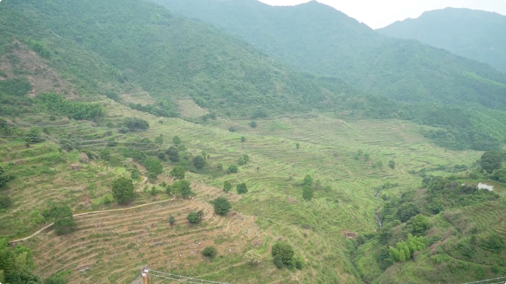 圖片5：篁嶺梯田.jpeg